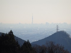 �X�J�C�c���[