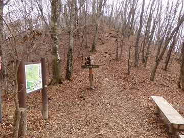 ���V�J����