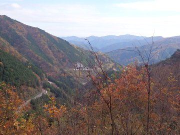 ���������V���H