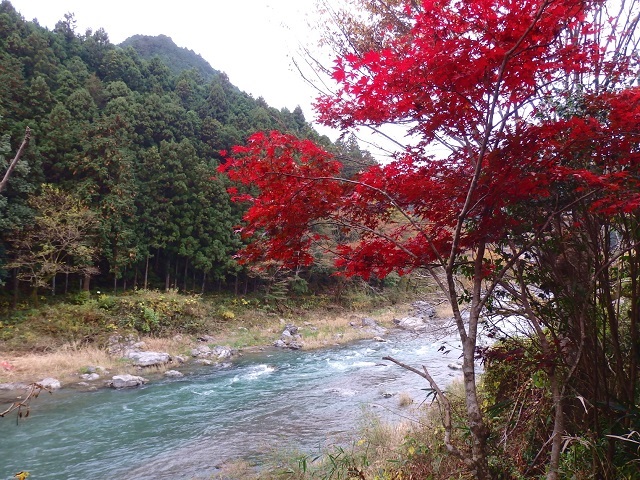 �������E��x�k�J�̍g�t