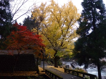 ��C�`���E