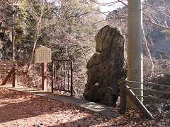 �ٌc�̘r�ʂ���