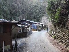 �ނ����n����