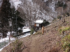 �����̏W��