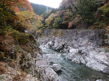 ���m���k�J