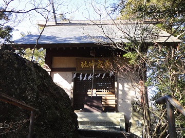 �����_��