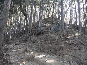 ���R�ւ̓o��