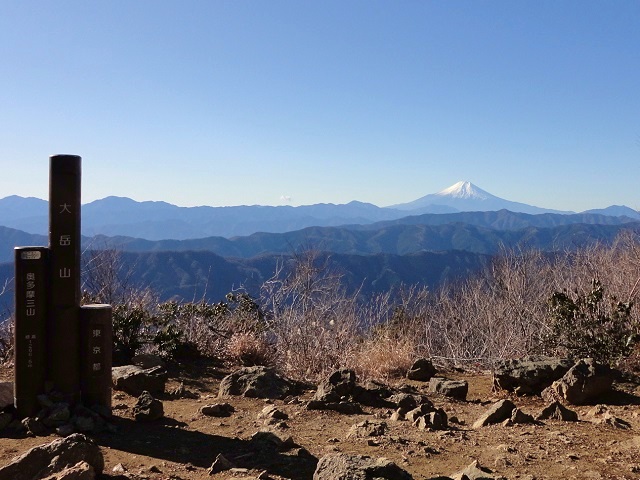 ��x�R�E�R�����猩���x�m�R