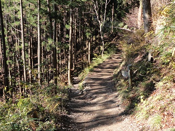 �V���E���b�N�K�[�f���ւ̕���