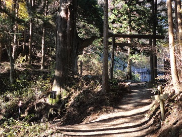 �V��̍��|����