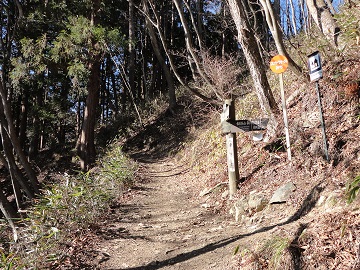 ���̉@����̓�������