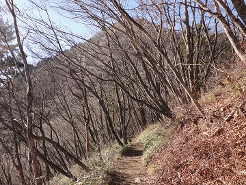 ��x�R�������Ă���