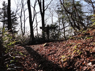 �n���������ɏo��