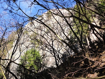 �n���������ɏo��