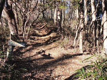 ��x�ߓ����ւ̕���