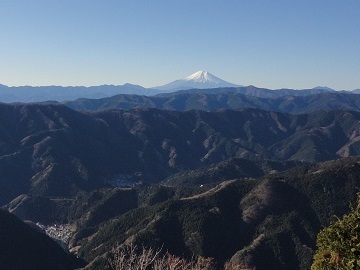 �x�m�R���ʂ̓W�]