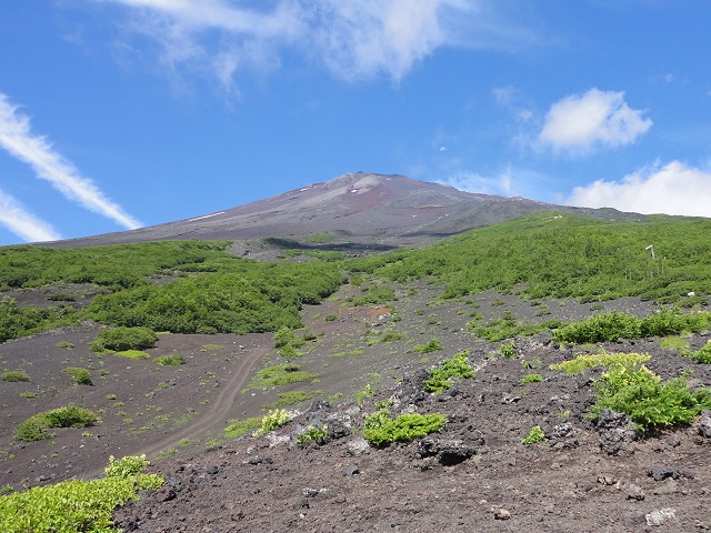 �{���E�܍��ڕt�߂���x�m�R������