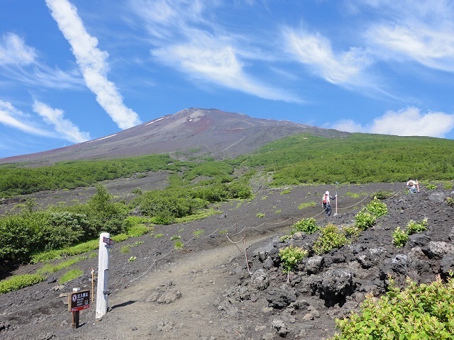 �{�����܍��ڕt�߂���x�m�R������