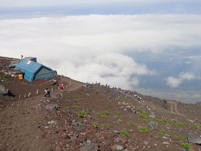 �x�m�R�E��a��������ڂƉ_�C