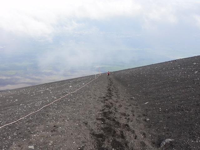 �x�m�R�E�卻����