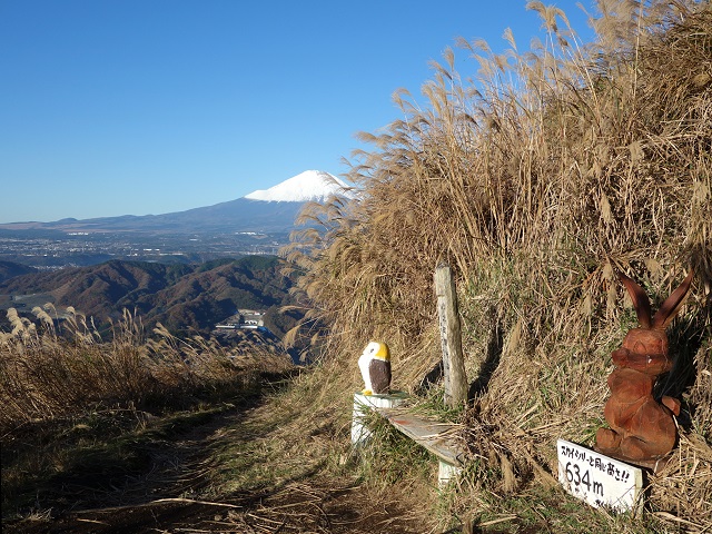 ���R�E�X�J�C�c���[�Ɠ���������634m�n�_