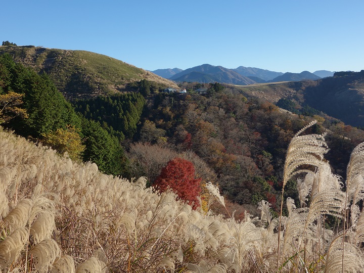 �����琬�q��