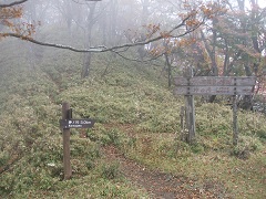 �_�m��ւ̕���