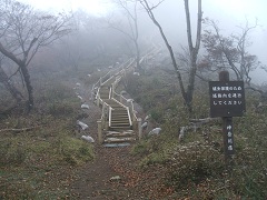 �R���ւ̓�