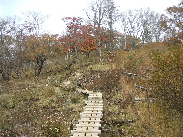 ���O�򂩂�w���ۂ�