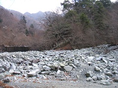 �S�[����o��