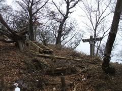 ⴑ�R�[�X�ƍ���