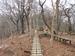 �w���ۂւ̓�