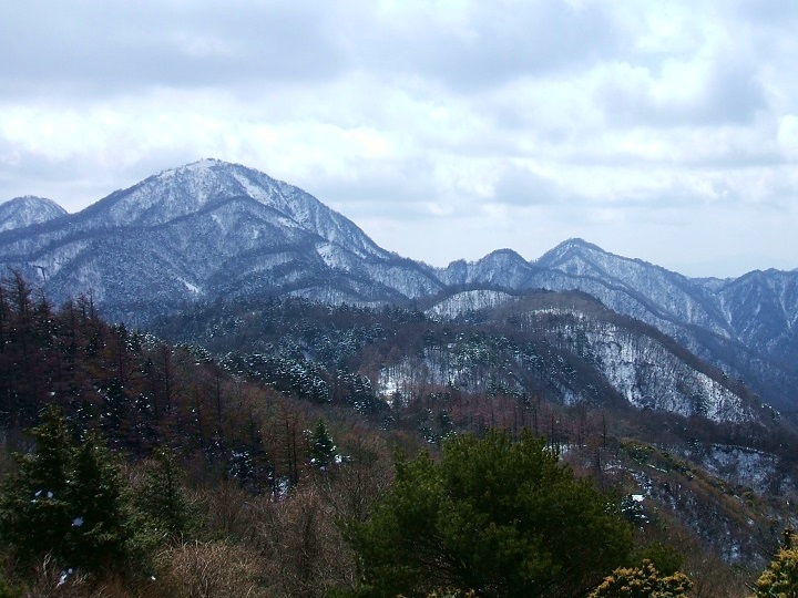 �P�����猩���g���x