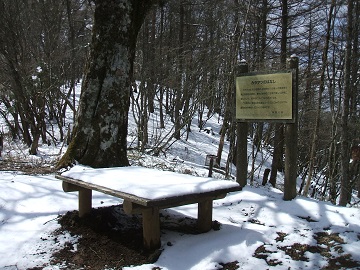 ���C���R�����̍ō��_