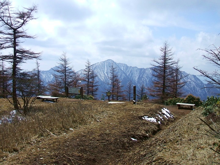 �P�����猩���g���x