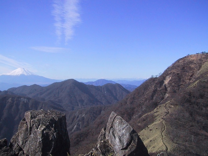 �S���₩�猩���x�m�R�ƕg���x