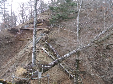 �_�m���z�ւ̓�