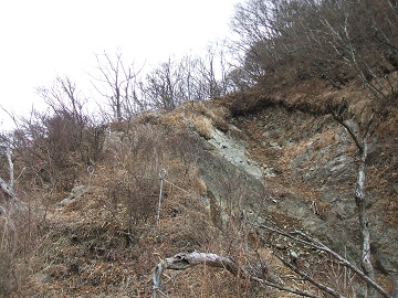 �P���x����g���x�̍���