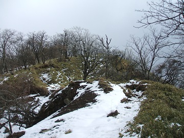 �g���x�ւ̓�