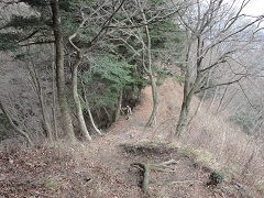 �{�����z