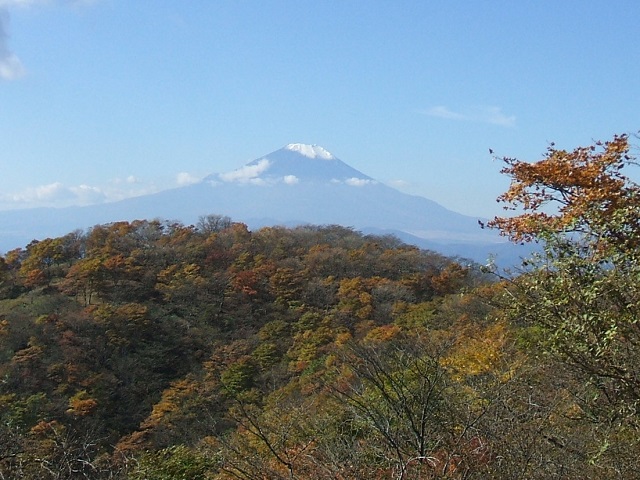 �犄�R���猩���x�m�R