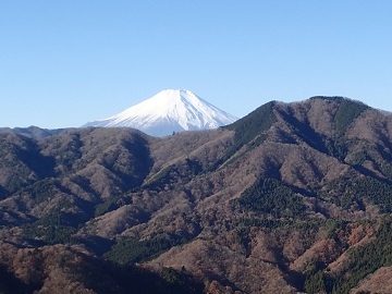 �x�m�R�ƒ��m���R