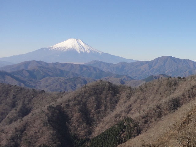 �厺�R�̓o�R�R�[�X���猩���x�m�R