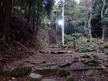 ��R�E����̓���