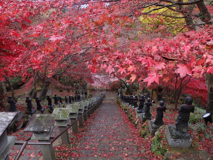 ��R���̍g�t