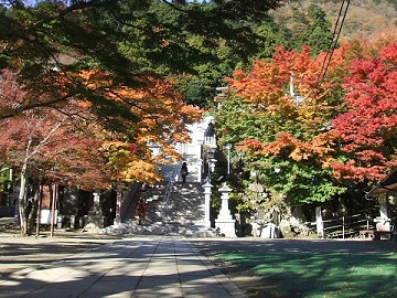 ���v���_�Ђ�