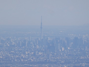 �X�J�C�c���[