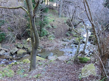 �J���Y��