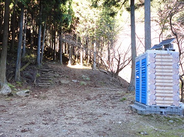 �s���K�E�o�R���̃g�C��