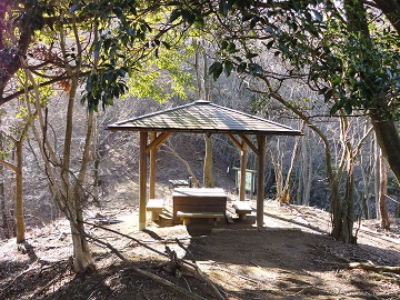 ��R�E����